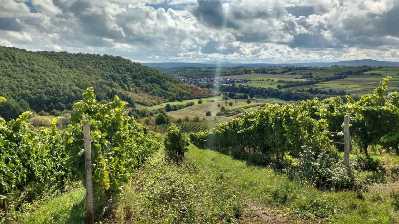 Appartamento Ruhe Pur Am Golfplatz Stromberg Stromberg  Esterno foto